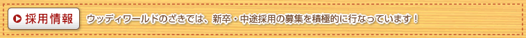 �̗p���F�E�b�f�B���[���h�̂����ł́A�V���E���r�̗p�̕�W��ϋɓI�ɍs���Ă��܂��I