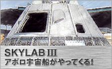 �X�J�C���u�L����